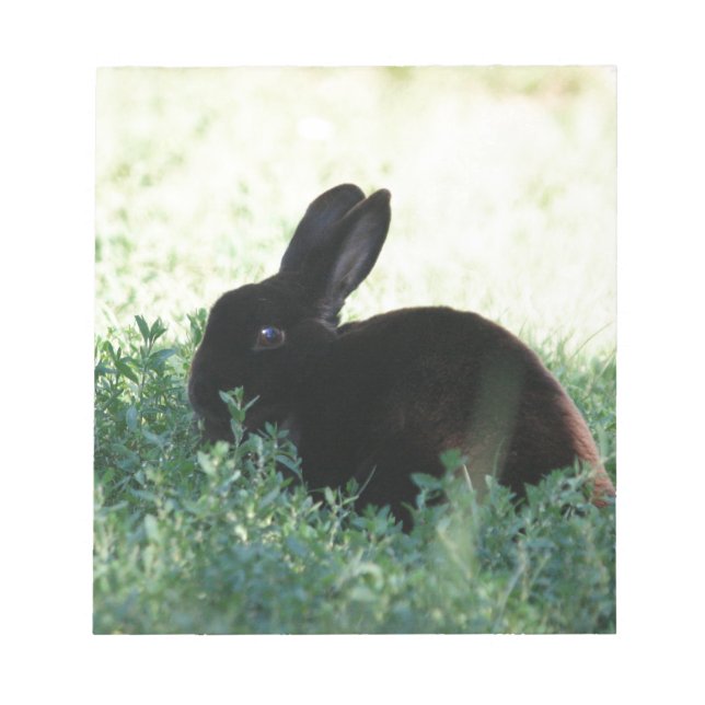 Bloco De Notas Lil Black Bunny (Frente)