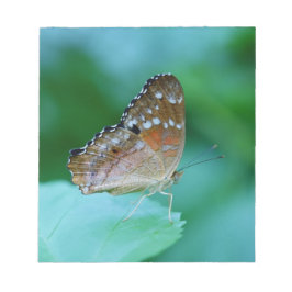 Bloco De Notas Linda Borboleta Danaus Plexippus na Folha.