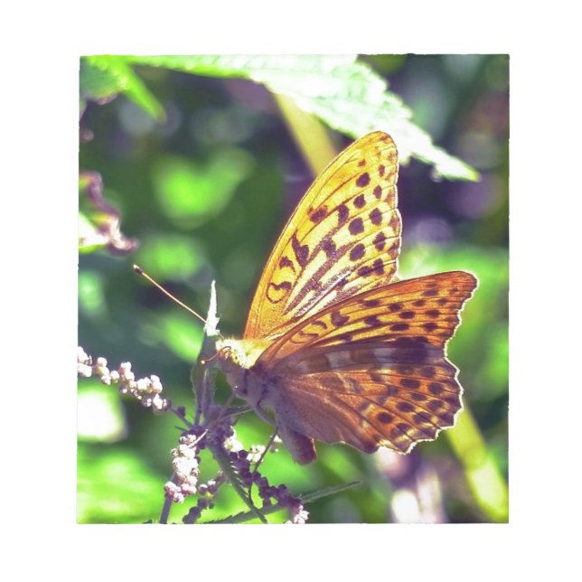 Bloco De Notas Linda borboleta laranja e preta (Frente)