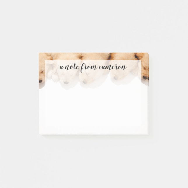 Bloco De Notas Linha de Ouro dormindo (Frente)