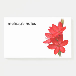 Bloco De Notas Lírio elegante do rio/Hesperantha Coccinea