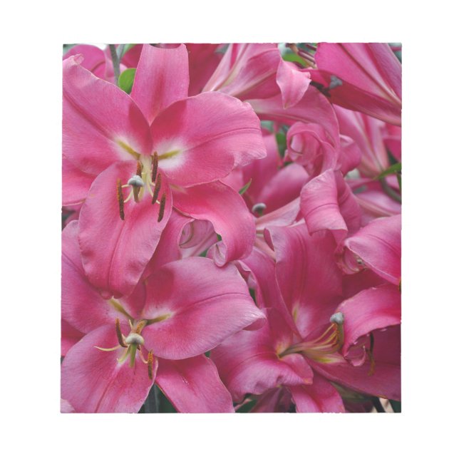 Bloco De Notas Lírios cor-de-rosa (Frente)