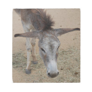 Bloco De Notas Long Eared Donkey