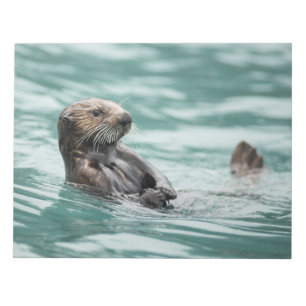 Bloco De Notas Lontra de mar de observação