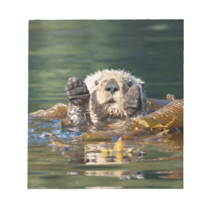 Bloco De Notas Lontra de mar de ondulação