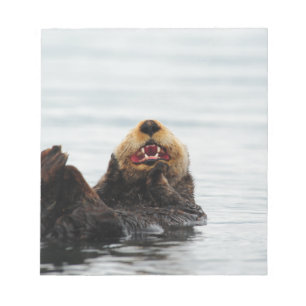 Bloco De Notas Lontra de mar do Alasca