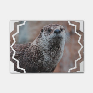 Bloco De Notas Lontra de rio