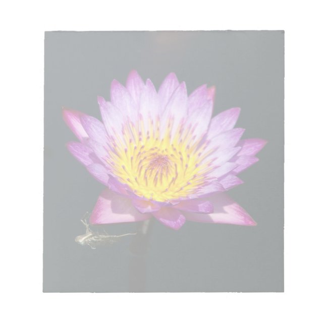 Bloco De Notas Lotus Purple & Yellow com Dragonfly Nymph (Frente)
