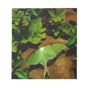 Bloco De Notas Luna verde-gigante