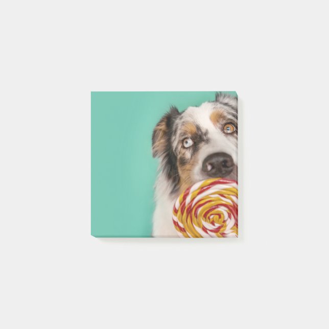 Bloco De Notas Lustiger Australian Shepherd Hund mit Lolli (Frente)