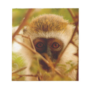 Bloco De Notas Macaco Atrevido.