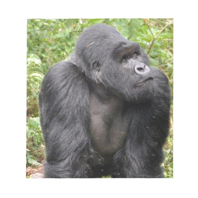 Bloco De Notas Macaco Feliz (Frente)