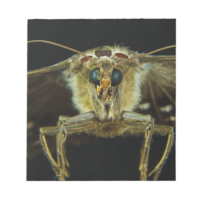 Bloco De Notas Macro Fechar para Cima da Borboleta (Frente)