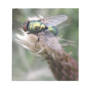 Bloco De Notas Macro-Notepad de Mosca Verde
