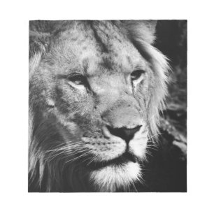 Bloco De Notas macro-vestimenta macho africa