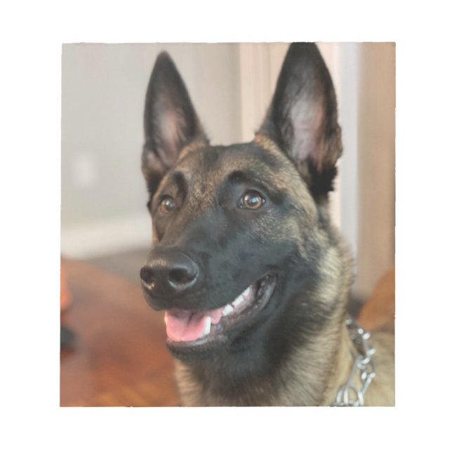 Bloco De Notas Malinois Dog (Frente)