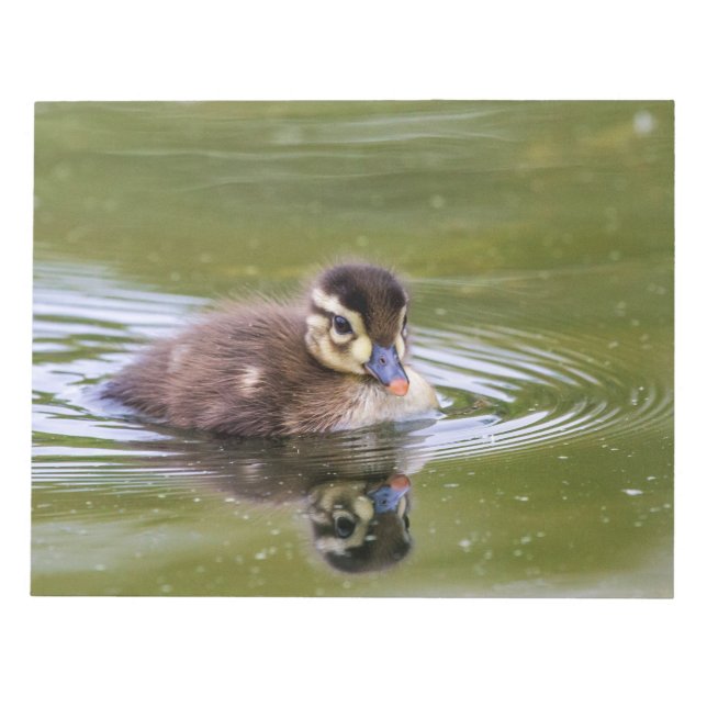 Bloco De Notas Mallard Duckling (Frente)