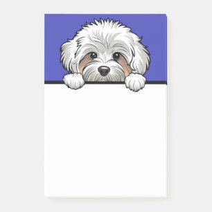 Bloco De Notas Maltipoo Cute Peeking Dog Lover Oferece Papel Escr