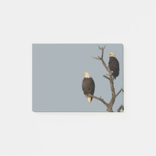 Bloco De Notas Maravilhas Silenciosas Postam Que Ele Toma Nota De