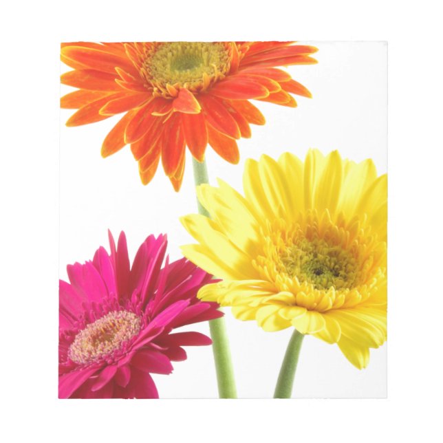 Bloco De Notas Margarida Gerbera (Frente)