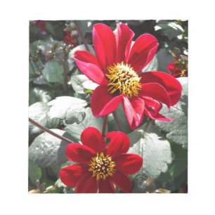 Bloco De Notas margarida rosa-vermelha / flores das margaridas