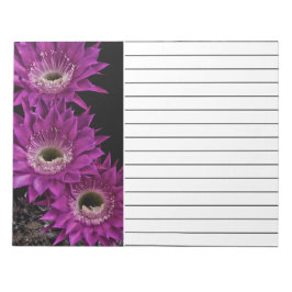 Bloco De Notas Maria Piazza à terceira