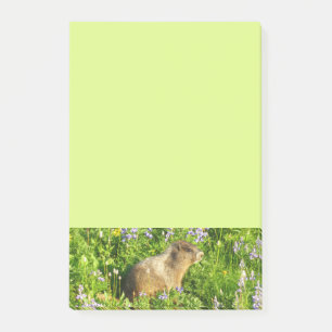 Bloco De Notas Marmot no Monte Rainier Wildflower