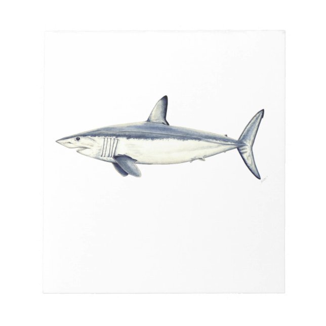 Bloco De Notas Marrajo - Isurus oxyrinchus (Frente)