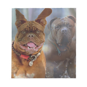 Bloco De Notas Mastiff Plus