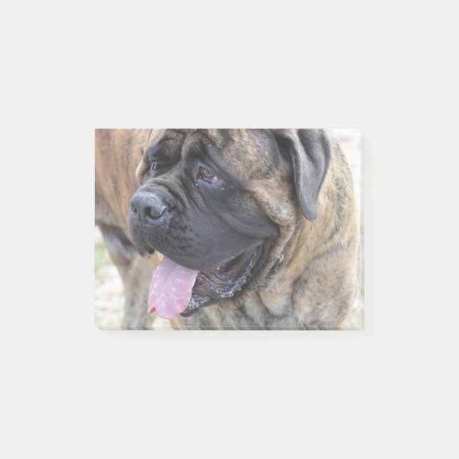Bloco De Notas Mastiff rajado (Frente)