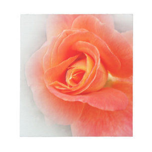 Bloco De Notas matizes cor-de-rosa pastel