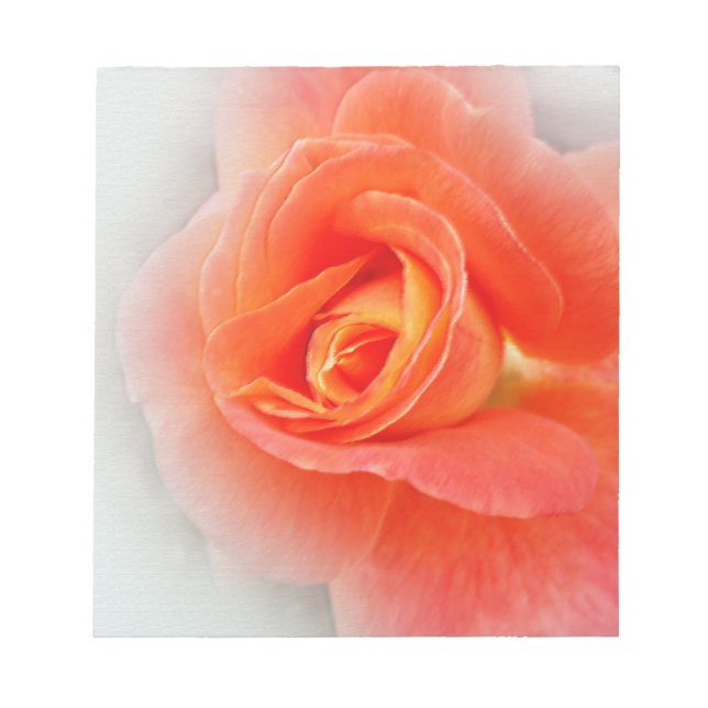 Bloco De Notas matizes cor-de-rosa pastel (Frente)