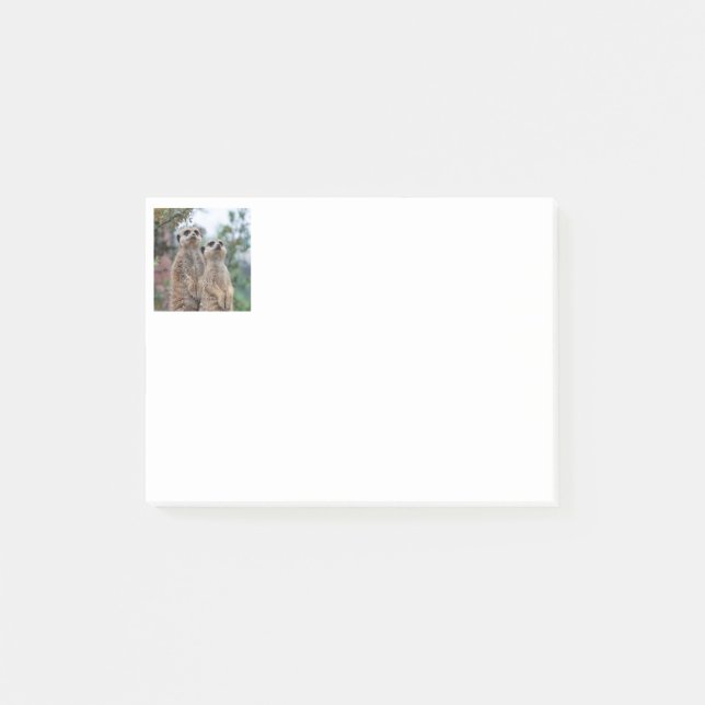 Bloco De Notas Meerkat 013 (Frente)