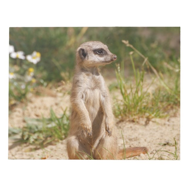 Bloco De Notas Meerkat 2014-0901 (Frente)