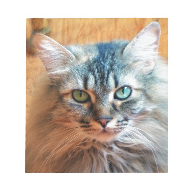 Bloco De Notas Miss Tootles (Frente)