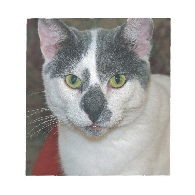 Bloco De Notas Mister Pants (Frente)