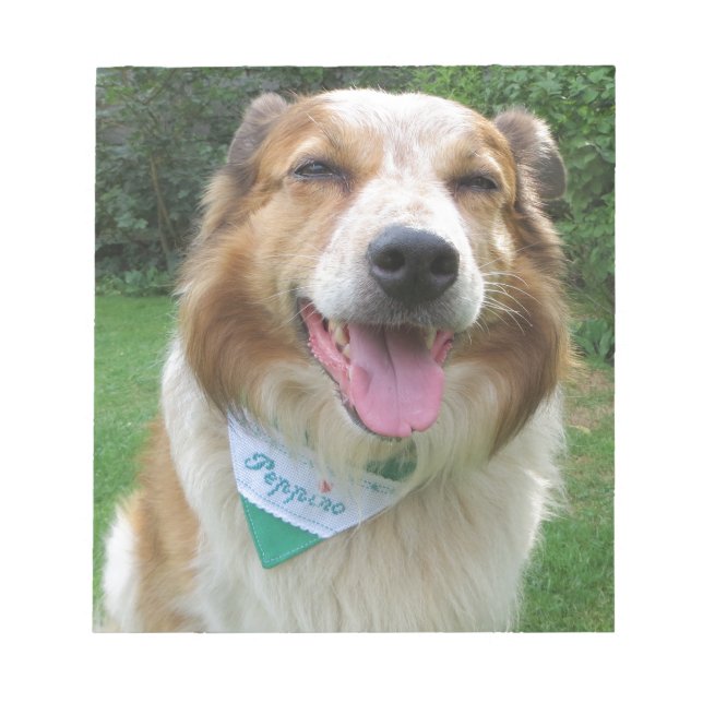 Bloco De Notas mistura de collie de borda (Frente)