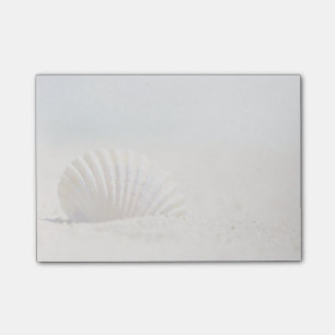Bloco De Notas Moluscos Seashell