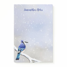 Monograma Aquarela Inverno Pássaro Azul