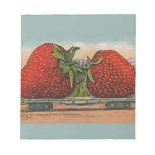 Bloco De Notas Morangos Gigante Antigo Fruta Diversão