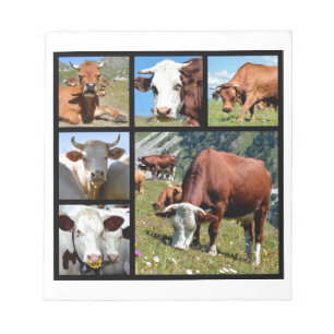 Bloco De Notas Mosaico fotográfico de vacas