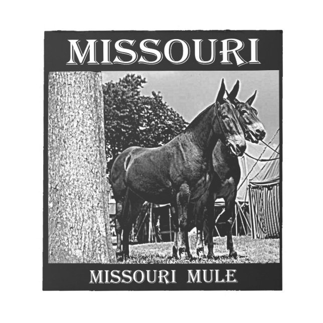 Bloco De Notas Mula do Missouri (Frente)