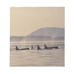 Bloco De Notas N.A., EUA, Washington, Ilhas San Juan Orca