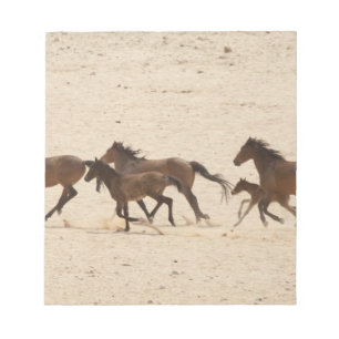 Bloco De Notas Namíbia, Aus. Grupo de cavalos selvagens correndo