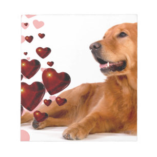 Bloco De Notas Namorados Red Hearts Ouro Retriever Dog