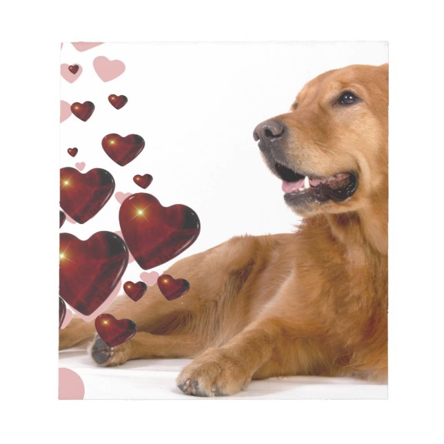 Bloco De Notas Namorados Red Hearts Ouro Retriever Dog (Frente)