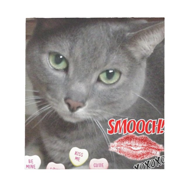 Bloco De Notas Namorados Russo Blue Cat (Frente)