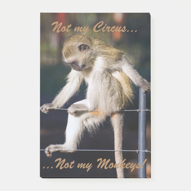 Bloco De Notas Não meu circo, não minhas almofadas do post-it dos (Frente)