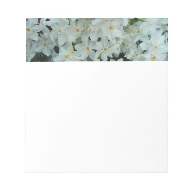 Bloco De Notas Narciso Branco Delicado de Paperwhite Flores (Frente)