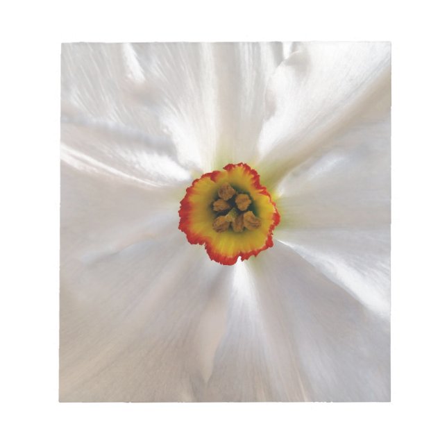Bloco De Notas narciso branco pérola (Frente)